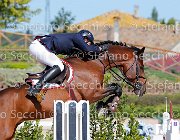 Apolloni Baby Arko GioCav2013 S5 1893 : Apolloni Gianluca, Baby Arko, Campionati Italiani Giovani Cavalli, Cattolica, ph Stefano Secchi ©